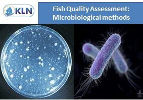 Fish Quality Assessment: Microbiological methods 